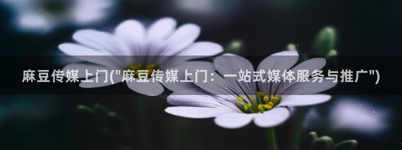 麻豆首页：麻豆传媒上门(\