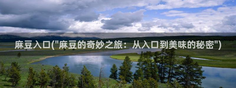 麻豆国产av专区：麻豆入口(\