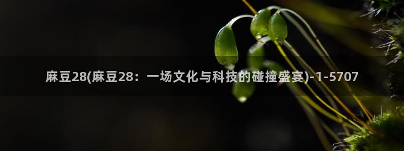 麻豆专区av：麻豆28(麻豆28：一场文化与科技的碰撞盛宴)