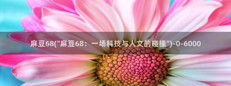 麻豆免费专区：麻豆68(\