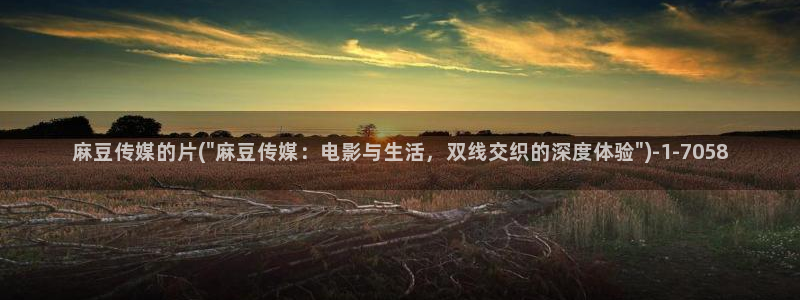 麻豆精品免费：麻豆传媒的片(\