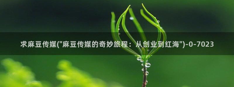 麻豆播放：求麻豆传媒(\