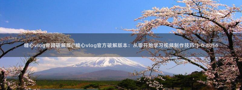 糖vlog：糖心vlog官网破解版(\