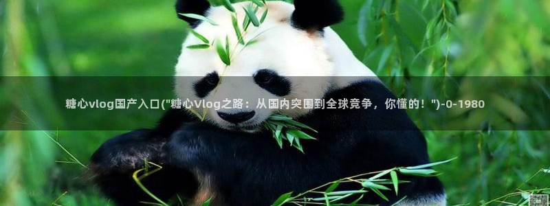 糖心vlog传媒nana：糖心vlog国产入口(\