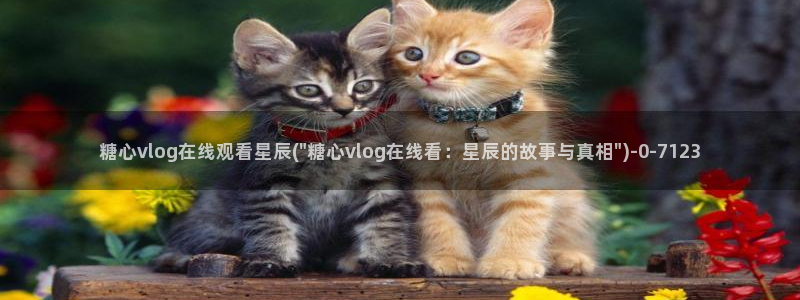糖心vlog入口网页：糖心vlog在线观看星辰(\