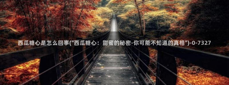 91糖心vlog下载：西瓜糖心是怎么回事(\