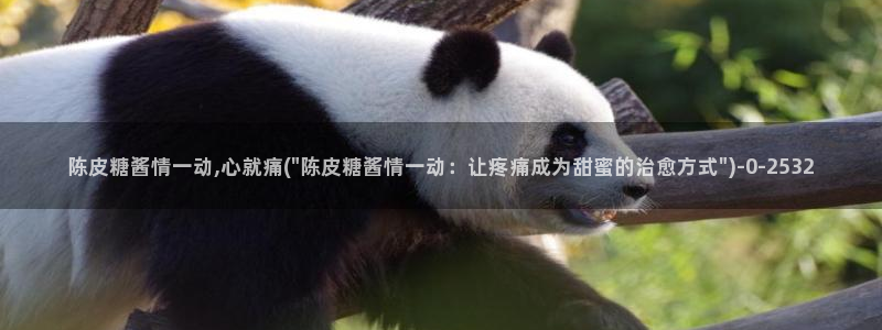 糖心vlog在：陈皮糖酱情一动,心就痛(\