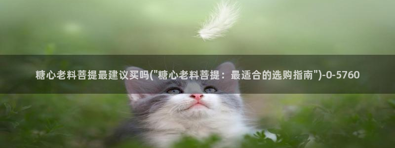 懒懒猪糖心vlog在线观看免费