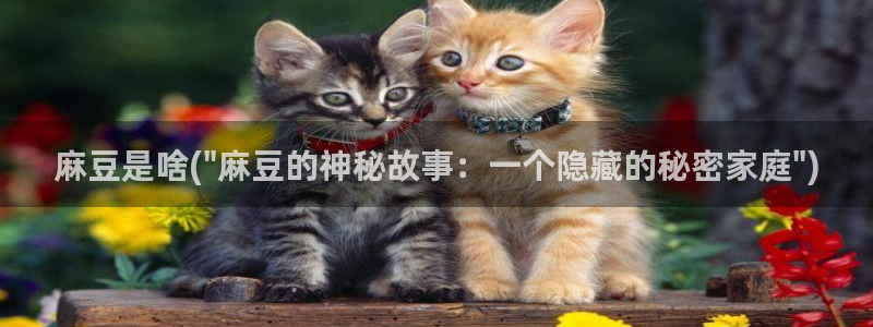 青草社区麻豆：麻豆是啥(\