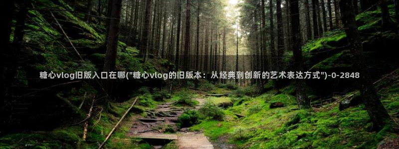 糖心vlog免费视频