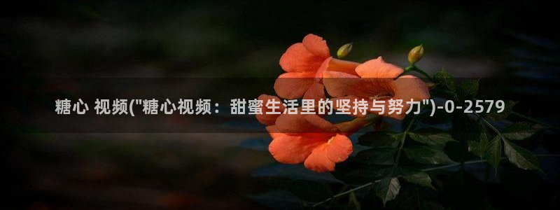 心糖vlog在线